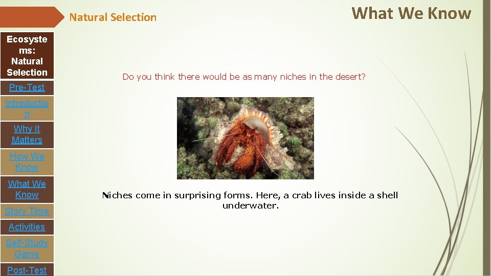 Natural Selection Ecosyste ms: Natural Selection What We Know Do you think there would