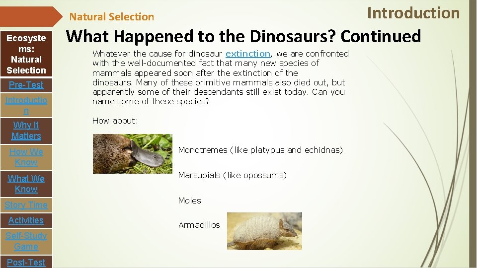 Introduction Natural Selection Ecosyste ms: Natural Selection Pre-Test Introductio n Why It Matters What