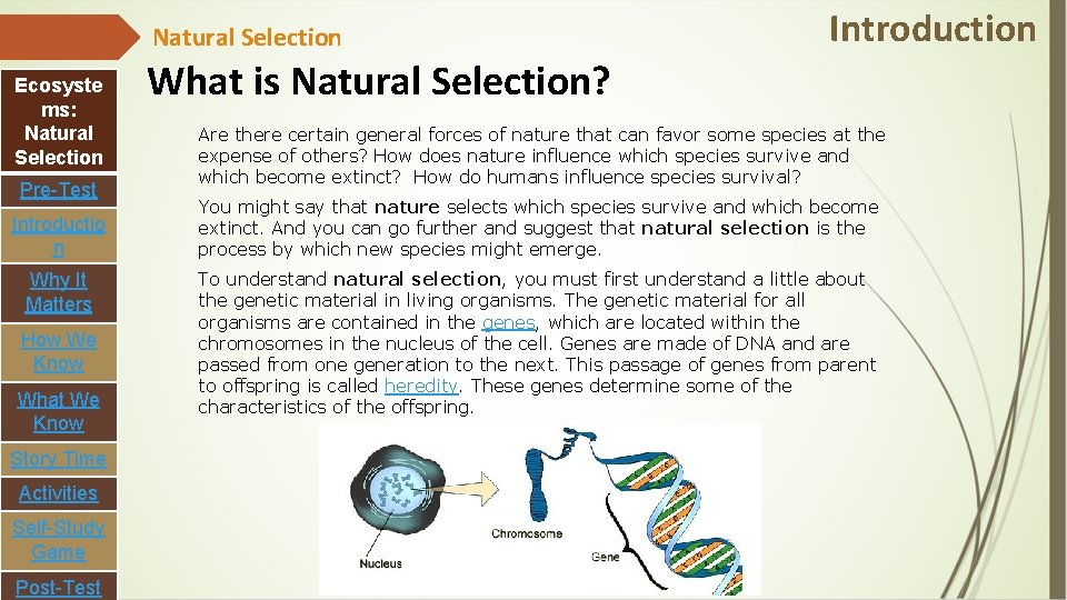 Natural Selection Ecosyste ms: Natural Selection Pre-Test Introductio n Why It Matters How We