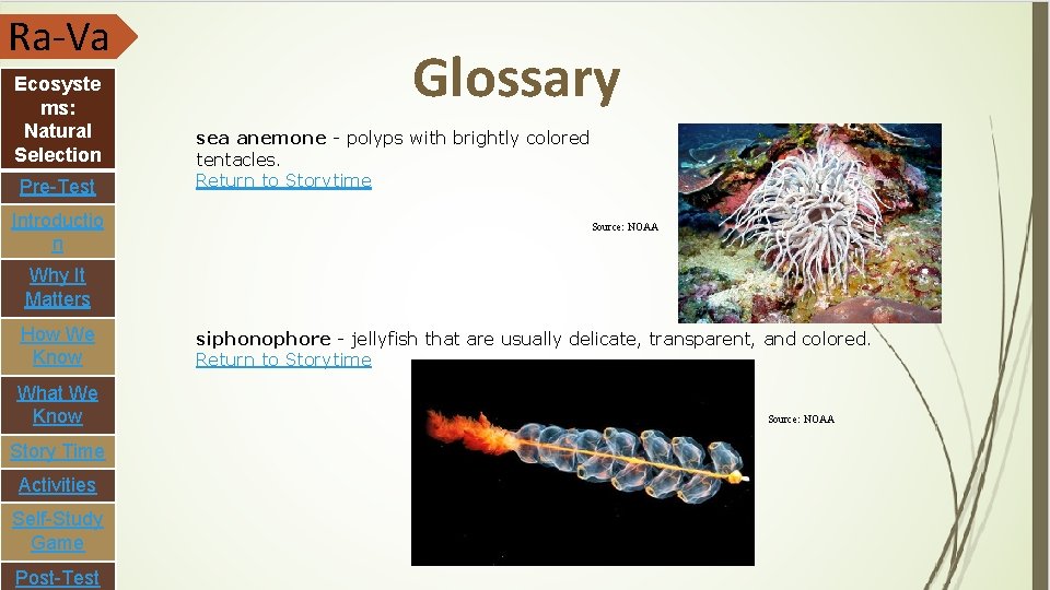 Ra-Va Ecosyste ms: Natural Selection Pre-Test Introductio n Glossary sea anemone - polyps with