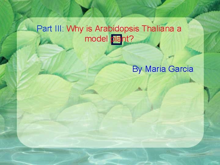 Part III: Why is Arabidopsis Thaliana a model � plant? By Maria Garcia 