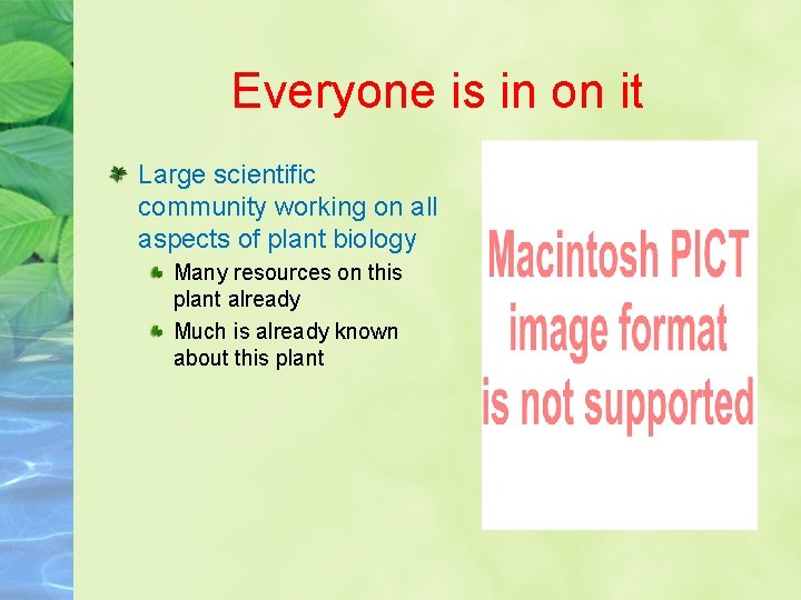 Everyone is in on it Large scientific community working on all aspects of plant