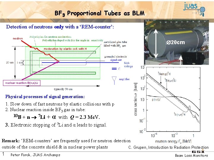 BF 3 Proportional Tubes as BLM Detection of neutrons only with a ‘REM-counter’: neutron