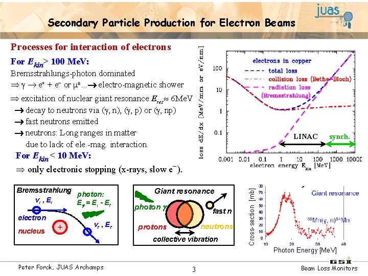 Secondary Particle Production for Electron Beams Processes for interaction of electrons For Ekin> 100