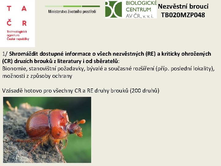 Nezvěstní brouci TB 020 MZP 048 1/ Shromáždit dostupné informace o všech nezvěstných (RE)