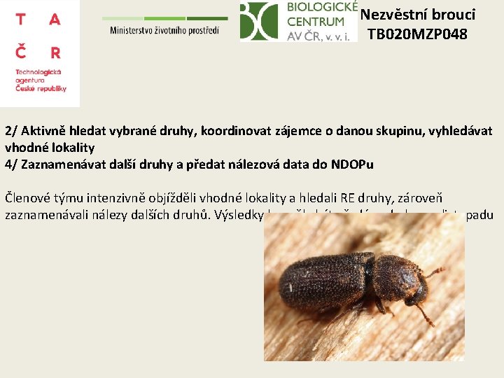 Nezvěstní brouci TB 020 MZP 048 2/ Aktivně hledat vybrané druhy, koordinovat zájemce o