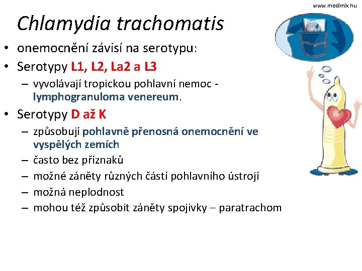 Chlamydia trachomatis • onemocnění závisí na serotypu: • Serotypy L 1, L 2, La