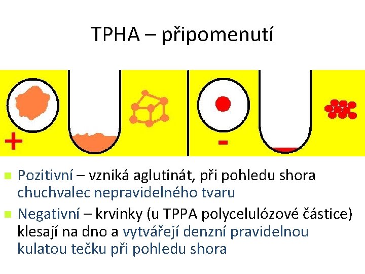 TPHA – připomenutí n n Pozitivní – vzniká aglutinát, při pohledu shora chuchvalec nepravidelného