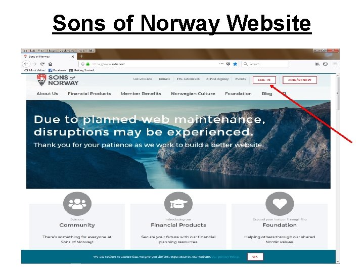 Sons of Norway Website 