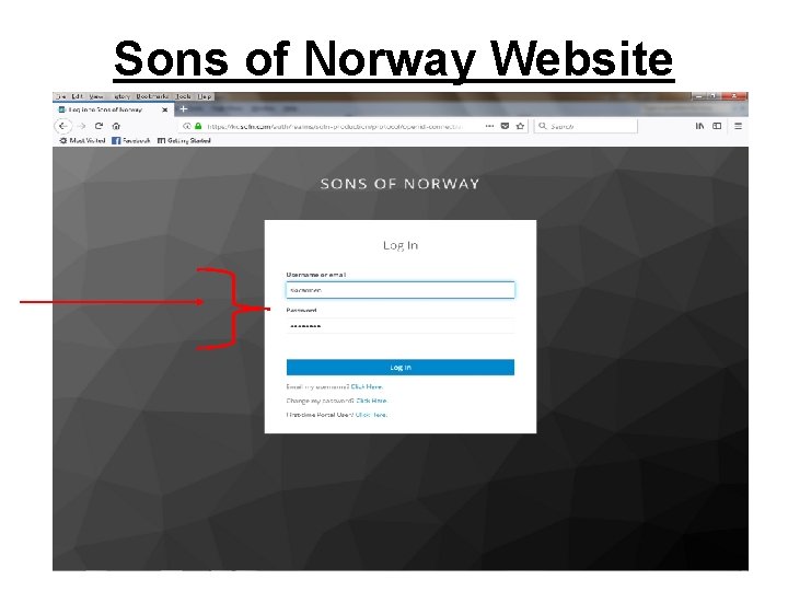 Sons of Norway Website 