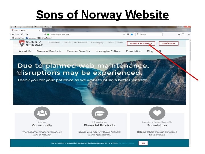 Sons of Norway Website 