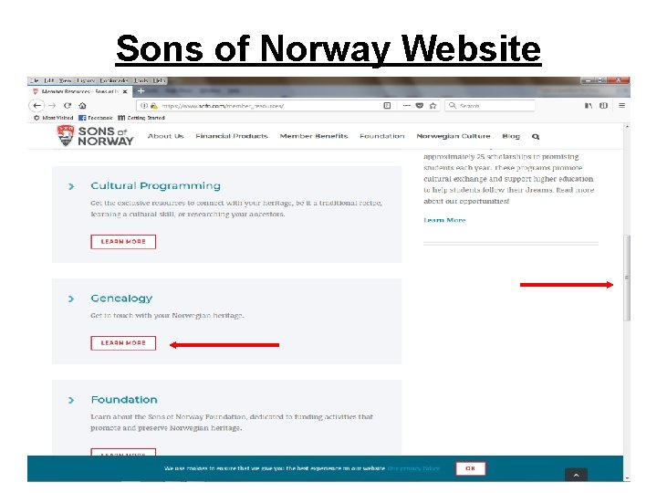 Sons of Norway Website 