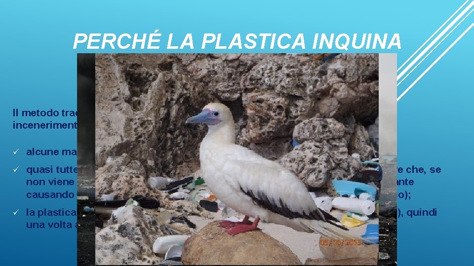 PERCHÉ LA PLASTICA INQUINA Il problema è come smaltire i rifiuti che contengono materie