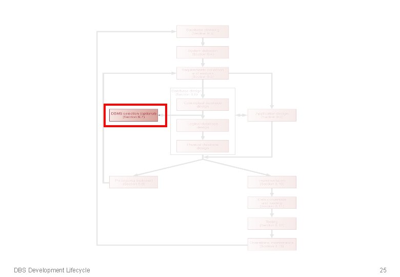 DBS Development Lifecycle 25 DBS Development Lifecycle 25