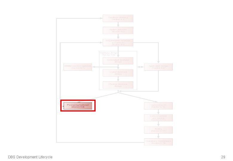 DBS Development Lifecycle 29 DBS Development Lifecycle 29