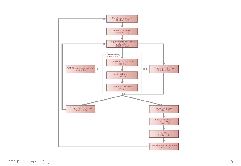 DBS Development Lifecycle 3 DBS Development Lifecycle 3