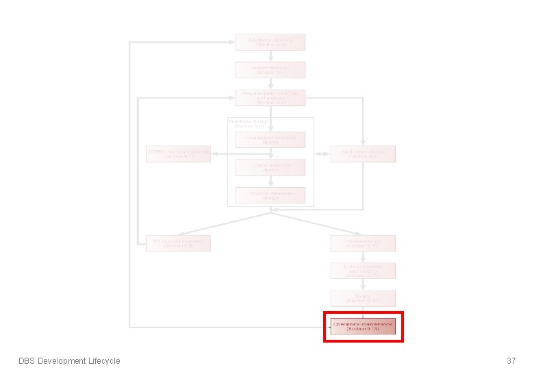 DBS Development Lifecycle 37 DBS Development Lifecycle 37