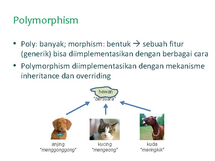 Polymorphism • Poly: banyak; morphism: bentuk sebuah fitur (generik) bisa diimplementasikan dengan berbagai cara