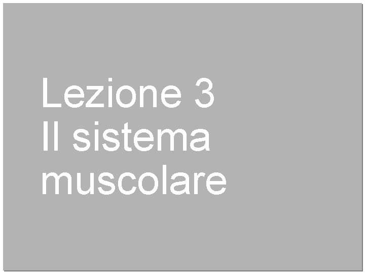 Lezione 3 Il sistema muscolare 