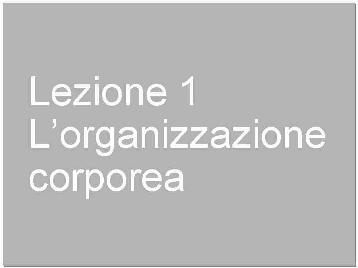 Lezione 1 L’organizzazione corporea 