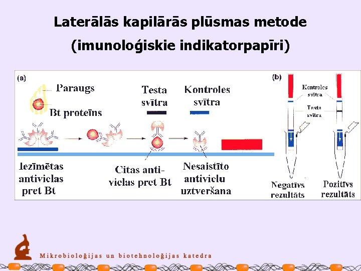 Laterālās kapilārās plūsmas metode (imunoloģiskie indikatorpapīri) 