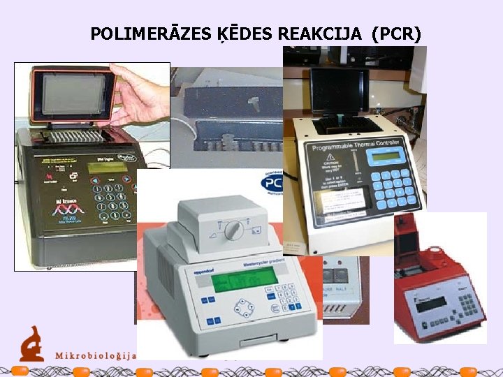 POLIMERĀZES ĶĒDES REAKCIJA (PCR) 