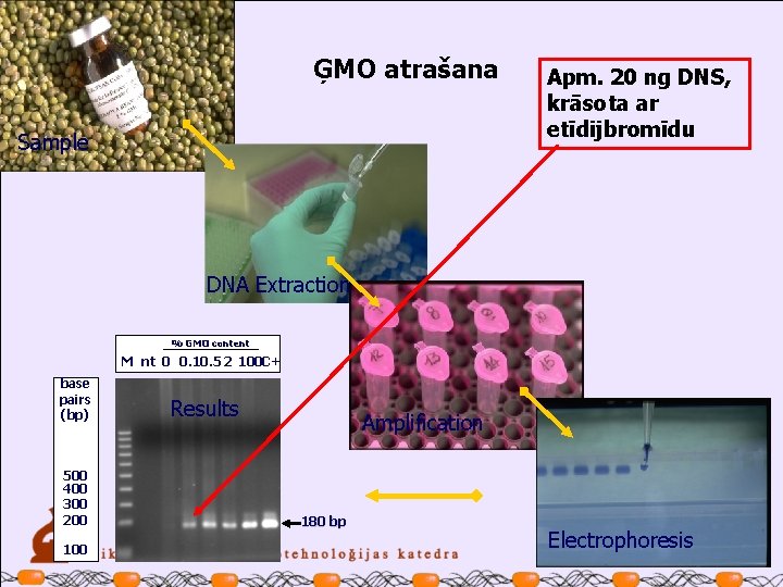 ĢMO atrašana Sample Apm. 20 ng DNS, krāsota ar etīdijbromīdu DNA Extraction % GMO