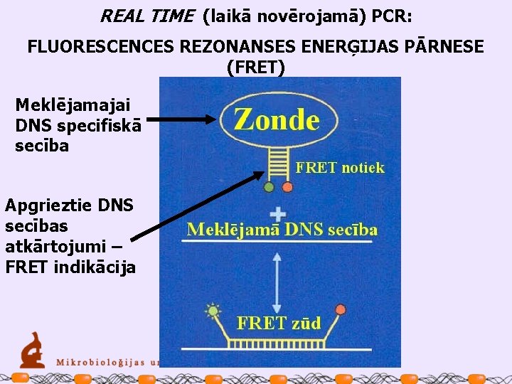 REAL TIME (laikā novērojamā) PCR: FLUORESCENCES REZONANSES ENERĢIJAS PĀRNESE (FRET) Meklējamajai DNS specifiskā secība