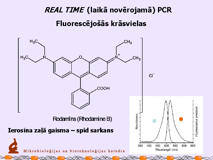 REAL TIME (laikā novērojamā) PCR Fluorescējošās krāsvielas Ierosina zaļā gaisma – spīd sarkans 