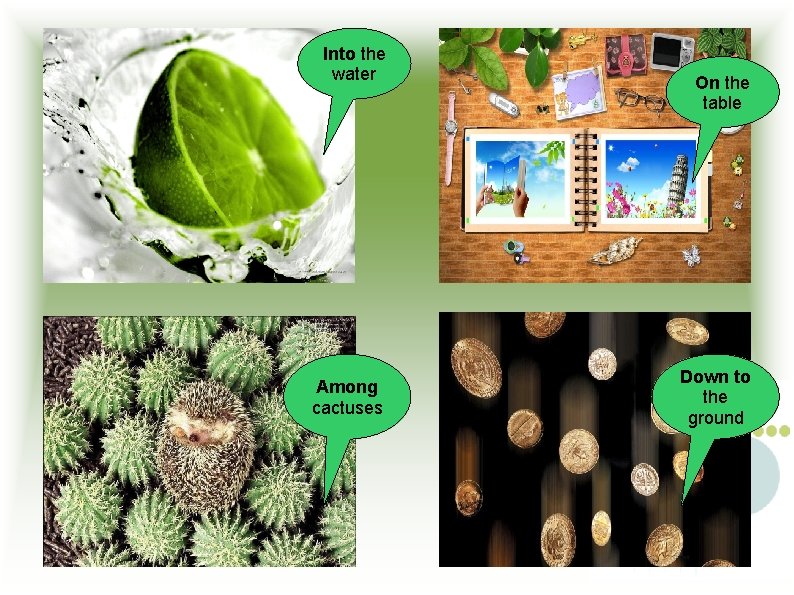 Into the water Among cactuses On the table Down to the ground 