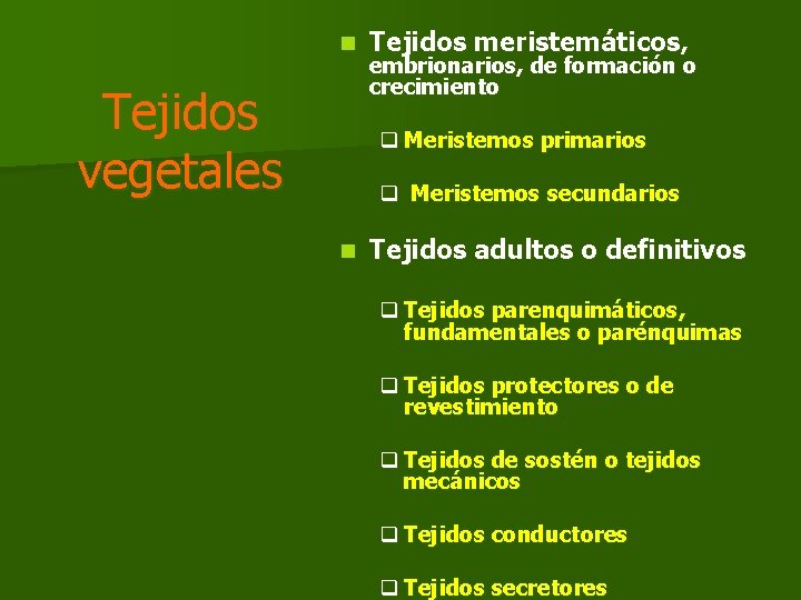 n Tejidos vegetales Tejidos meristemáticos, embrionarios, de formación o crecimiento q Meristemos primarios q