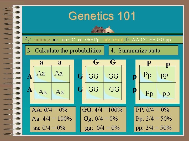 Genetics 101 P 1: nutmeg, m: aa CC ee GG Pp arg. Gold, f: