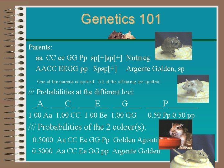Genetics 101 Parents: aa CC ee GG Pp sp[+] Nutmeg AACC EEGG pp Spsp[+]
