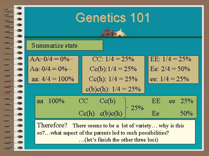 Genetics 101 Summarize stats AA: 0/4 = 0% Aa: 0/4 = 0% aa: 4/4