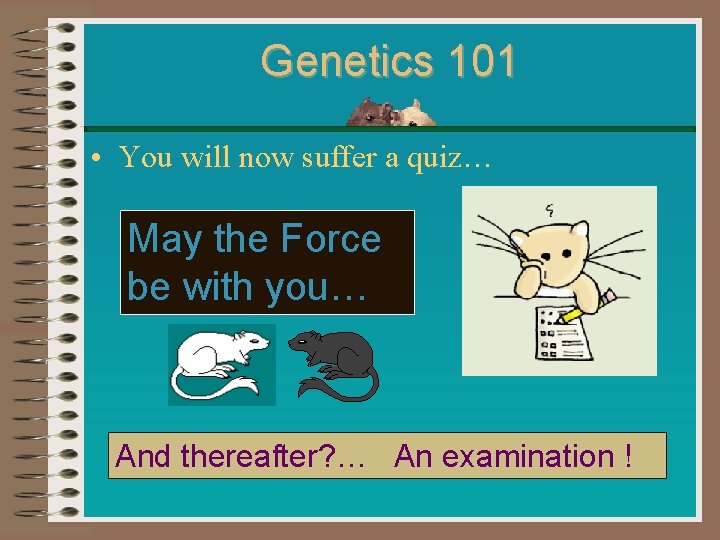 Genetics 101 • You will now suffer a quiz… May the Force be with Genetics 101 • You will now suffer a quiz… May the Force be with