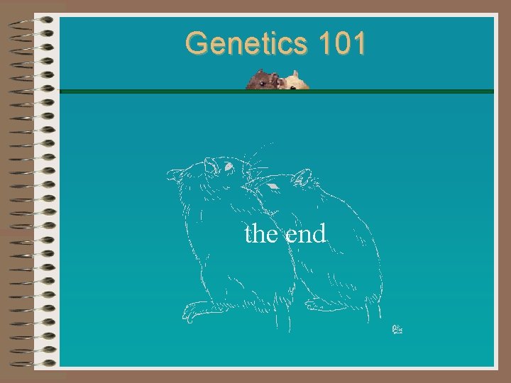 Genetics 101 the end 