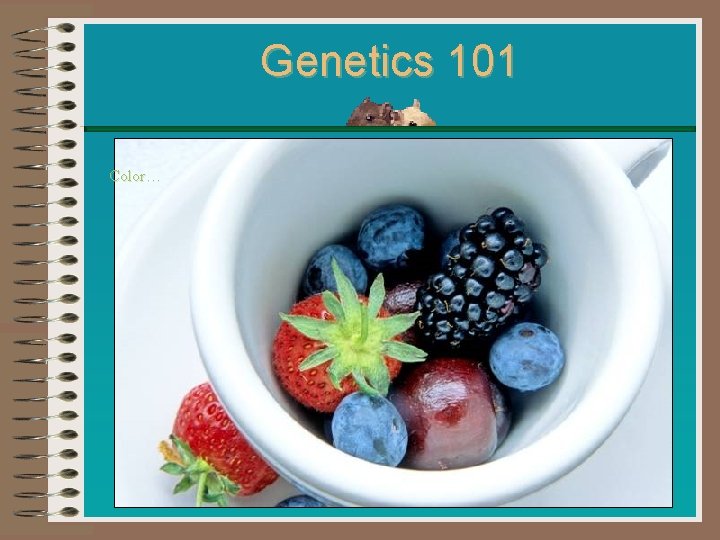 Genetics 101 Color… Genetics 101 Color…