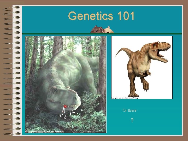 Genetics 101 Or these ? 