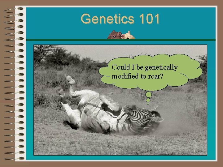 Genetics 101 Could I be genetically modified to roar? 