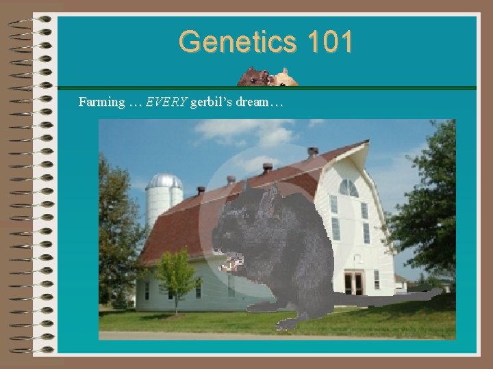 Genetics 101 Farming … EVERY gerbil’s dream… Genetics 101 Farming … EVERY gerbil’s dream…