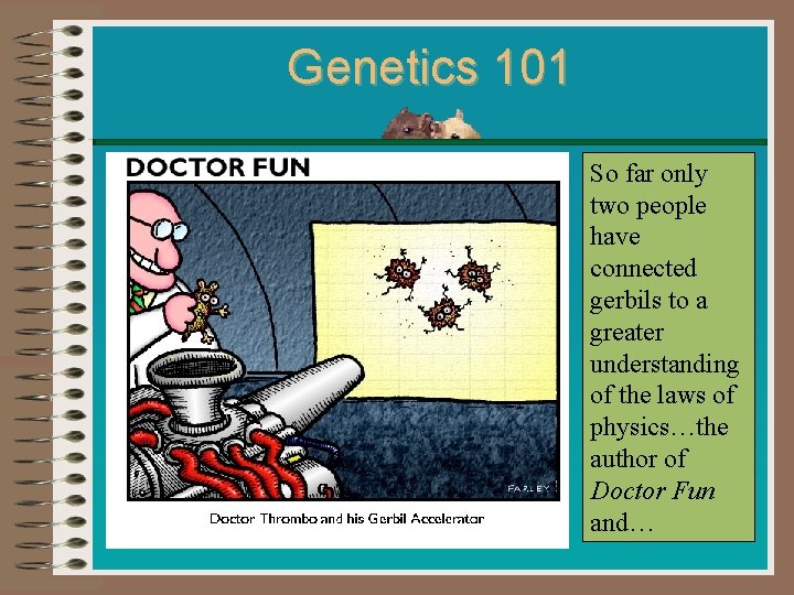 Genetics 101 So far only two people have connected gerbils to a greater understanding