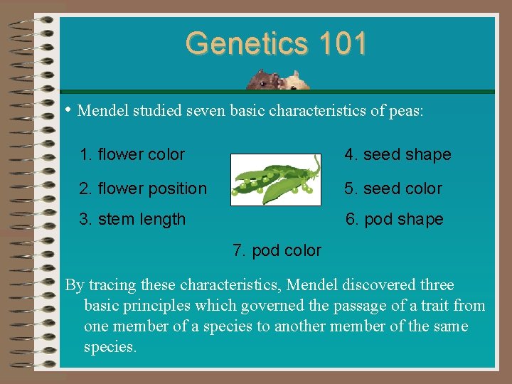 Genetics 101 • Mendel studied seven basic characteristics of peas: 1. flower color 4.