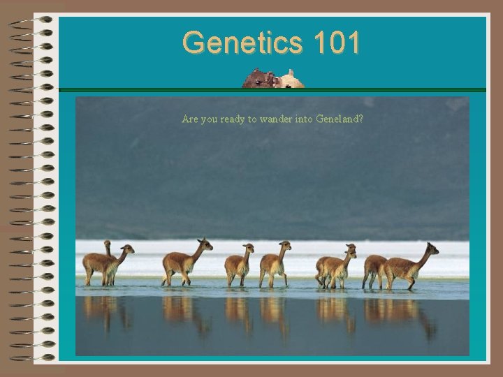 Genetics 101 Are you ready to wander into Geneland? Genetics 101 Are you ready to wander into Geneland?