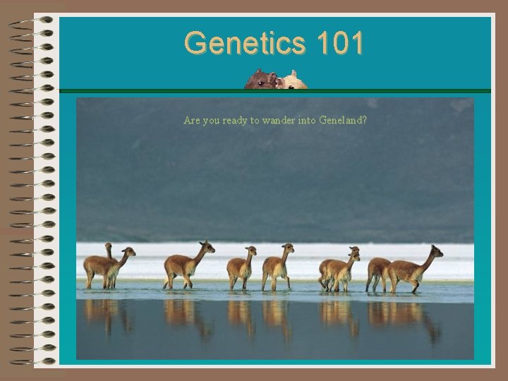 Genetics 101 Are you ready to wander into Geneland? 