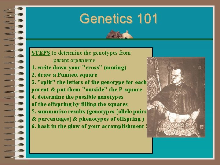 Genetics 101 STEPS to determine the genotypes from parent organisms 1. write down your