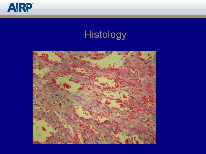 Histology 