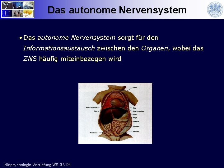 Das autonome Nervensystem • Das autonome Nervensystem sorgt für den Informationsaustausch zwischen den Organen,