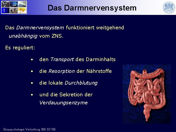 Das Darmnervensystem funktioniert weitgehend unabhängig vom ZNS. Es reguliert: • den Transport des Darminhalts