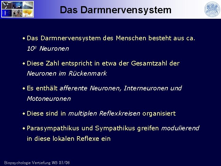 Das Darmnervensystem • Das Darmnervensystem des Menschen besteht aus ca. 108 Neuronen • Diese