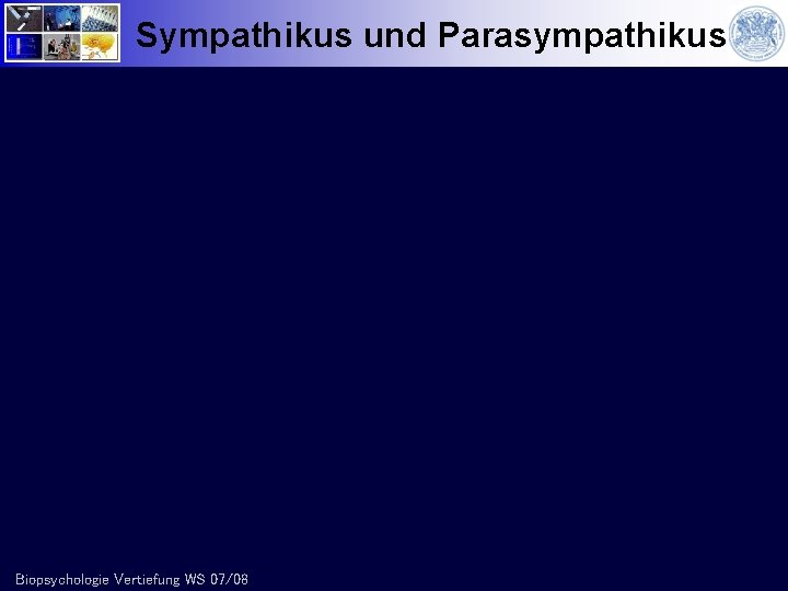 Sympathikus und Parasympathikus Biopsychologie Vertiefung WS 07/08 